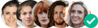 CarryGadget image